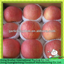 100-125pcs Fuji Apple